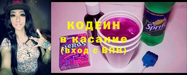 хмурый Белокуриха