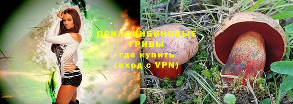твердый Белоозёрский