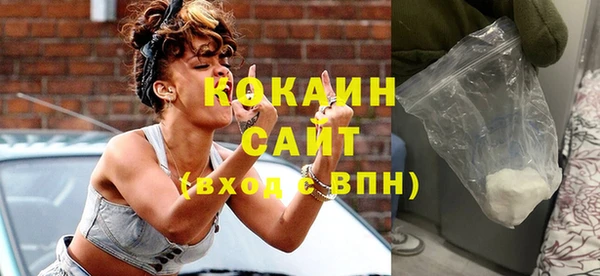 хмурый Белокуриха