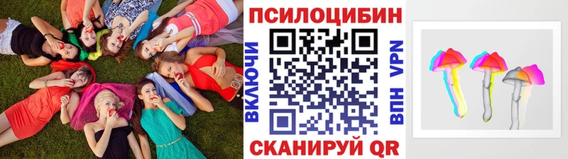 где купить   Реутов  Псилоцибиновые грибы ЛСД 